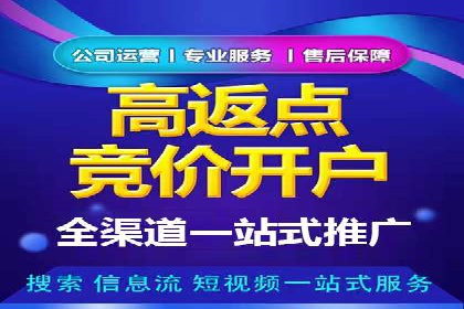 百度竞价推广实战：某电商平台的销售增长秘诀